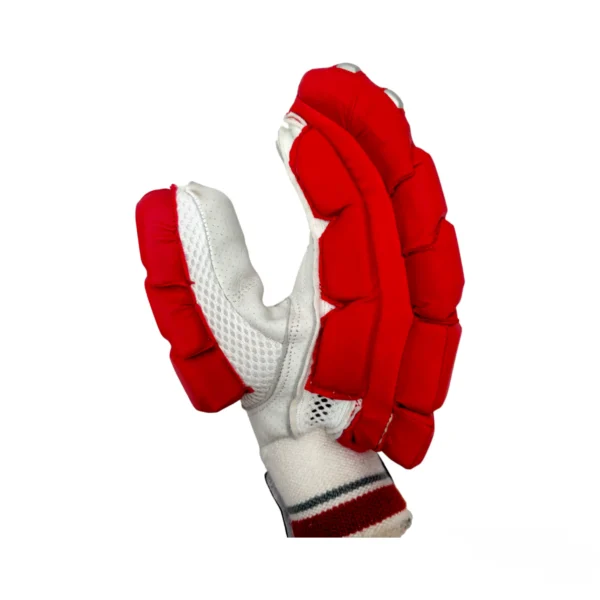 SS Cricket Batting Gloves - Superior Comfort & Protection for Every Cricketer - Image 6